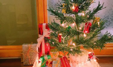 CÁCH LÀM CÂY THÔNG NOEL TRANG TRÍ GIÁNG SINH ĐƠN GIẢN