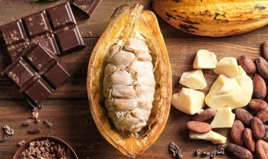 QUY TRÌNH SẢN XUẤT SOCOLA VÀ MỘT SỐ LOẠI SOCOLA THƯỜNG GẶP