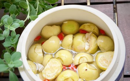 CÁCH MUỐI CÀ PHÁO GIÒN NGON